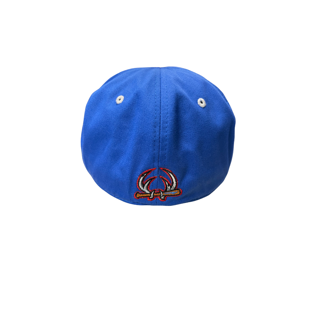 2023 Patriotic Fitted Hat